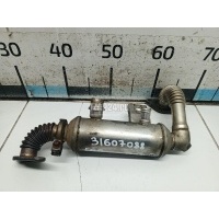Радиатор системы EGR Ford C-MAX (2003 - 2010) 1417823