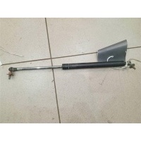 Амортизатор капота Toyota Land Cruiser 100 1998-2007 1999 5344069025