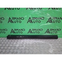 Молдинг двери BMW X3 G01 2017-нв 51138064794, 8064792, 4