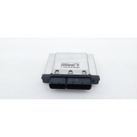 Блок управления двигателем Volkswagen Tiguan MK2 2020 04E906027LC, 04E907309BH