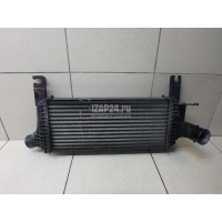 Интеркулер Nissan Pathfinder (R51) (2005 - 2014) 144615X00A