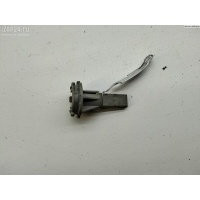 Патрон лампы фонаря Volkswagen Passat B5+ (GP) 2004 3B9945257C