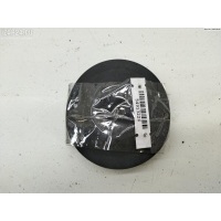 Крышка (заглушка) задняя фары правой Volkswagen Passat B5 1999 153873