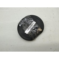 Крышка (заглушка) задняя фары правой Volkswagen Passat B5 1999 153874