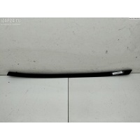Молдинг двери задней левой Seat Ibiza (1999-2002) 2001