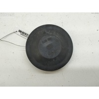 Крышка (заглушка) задняя фары левой Volkswagen Passat B5 1999 153873