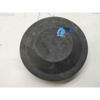 Крышка (заглушка) задняя фары правой Volkswagen Passat B5 2000 153874