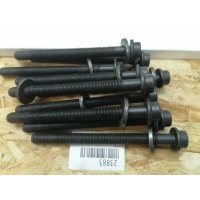 болт ГБЦ Ssang Yong New Actyon 6719900612