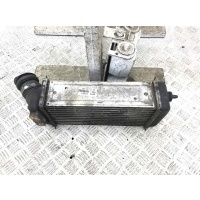 Интеркулер Peugeot 206 2006 9648402780