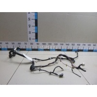 Проводка (коса) Nissan Primera P12E (2002 - 2007) 24124BA203