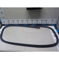 Уплотнитель стекла двери Chrysler Grand Cherokee (WJ, WG) (1999 - 2004) 55363160AC