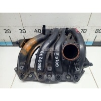Коллектор впускной VAG Polo (2001 - 2009) 036129709GT
