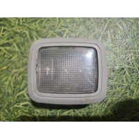 Фонарь салона (плафон) Volvo FH 2005 20456972