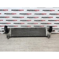 Интеркулер Nissan Qashqai 1 J10 2010 14461BB30A, 14461BB30A, 14461JD50A, 14461JD50B