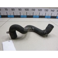 Патрубок радиатора Ford Fiesta (2001 - 2008) 1384145