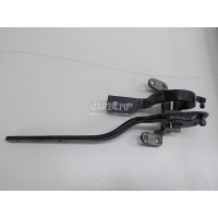 Петля двери багажника VAG Cayenne (2003 - 2010) 95551230100