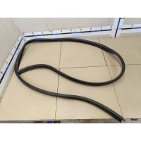 Уплотнитель двери RENAULT Sandero 2009-2014 8200733161