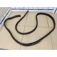 Уплотнитель двери RENAULT Sandero 2009-2014 8200733171