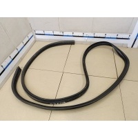 Уплотнитель двери RENAULT Sandero 2009-2014 8200733161