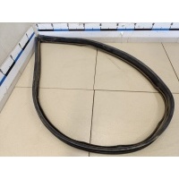Уплотнитель (наружный) RENAULT Sandero 2009-2014 8200733152