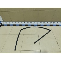 Уплотнитель стекла двери Chery Tiggo 7 Pro (T1E) 2020> 554000440AA