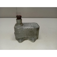 Радиатор масляный VAG Jetta (2006 - 2011) 06J117021J
