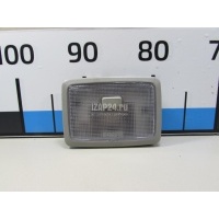 Плафон салонный GM Captiva (C100) (2006 - 2010) 94564606