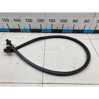 Уплотнитель двери Fiat Doblo (2001 - 2005) 51765346