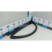 Уплотнитель стекла двери Hyundai-Kia Santa Fe (CM) (2006 - 2012) 825402B000