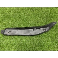 Пыльник крыла Mercedes-Benz E class W213 2020 A2138890500