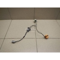 Патрон лампы Ford Focus II (2008 - 2011) 1567128