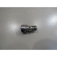 Штуцер VAG Tiguan (2007 - 2011) WHT000223