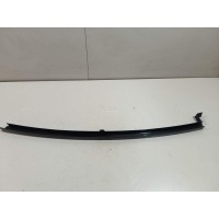 Направляющая стекла двери Renault Laguna III (2008 - 2015) 822300002R