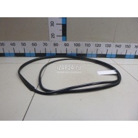 Уплотнитель стекла двери Fiat Albea (2002 - 2012) 46803921
