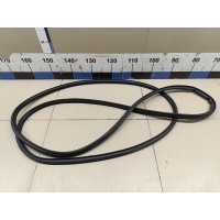 Уплотнитель двери Exeed TXL (M32T) 2019> 554000163AA