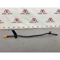 Б/У щуп масляный Chery Omoda c5 T19C 2023 F4j161009031, -Б/У Детали сняты с АВТОМОБИЛЯ