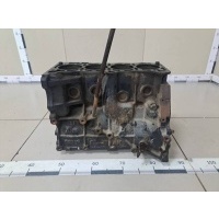 Блок двигателя Nissan Nissan Almera Classic (B10) 2006-2013 1100095F0B