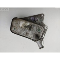 Теплообменник Opel Astra H 2006 5989070231