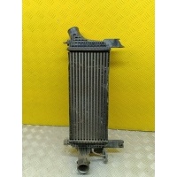 Интеркулер Nissan Pathfinder (R51M) 2004-2013 Внедорожник 2008 144615X00A, V4454002