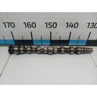 Распредвал VAG Golf Plus (2005 - 2014) 036109101CG