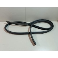 Уплотнитель двери Renault Sandero (2009 - 2014) 8200733171