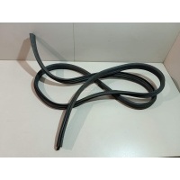 Уплотнитель двери Renault Sandero (2009 - 2014) 8200733171