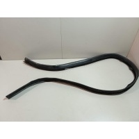 Уплотнитель стекла двери Renault Sandero (2009 - 2014) 8200733155