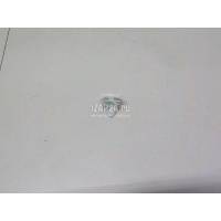 Крепеж (клоп) Citroen-Peugeot Master III 2010 9345ZN