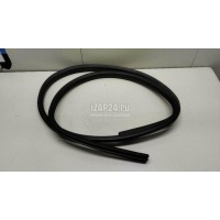 Уплотнитель двери Ford Focus III (2011 - 2019) 1750005