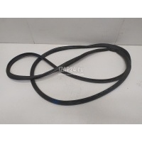 Уплотнитель двери Ford Focus III (2011 - 2019) 1728576