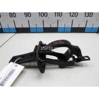 Петля двери багажника Volvo V70 (2007 - 2016) 31218426