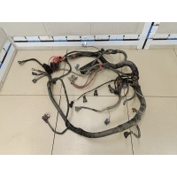 Проводка (коса) RENAULT Sandero 2009-2014 240111732R