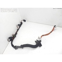 Проводка двигателя BMW 1 E81/E87 (2004-2012) 2008 780216606, 780216506