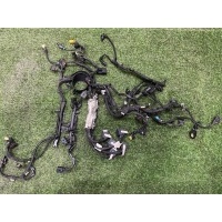 Проводка двигателя Mercedes-Benz E class W213 2020 A6541509004, A6541506500, a6541501100